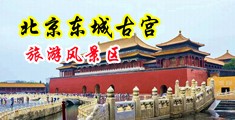 肛交毛片中国北京-东城古宫旅游风景区